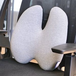 Cushion Lab Back Relief Lumbar Pillow